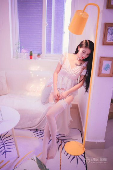 间谍过家家 第二季